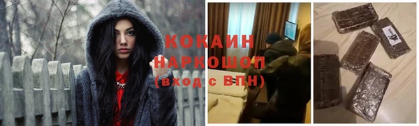 индика Иннополис