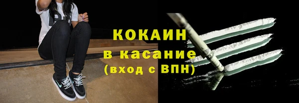 ешки Алексин