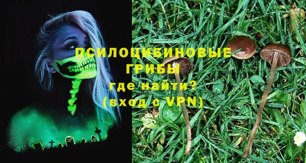 ешки Алексин