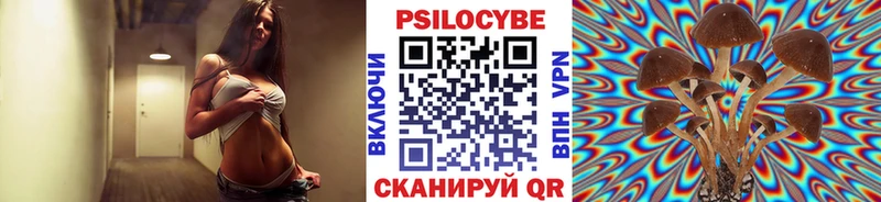 Псилоцибиновые грибы мицелий  закладка  мориарти какой сайт  Слюдянка 